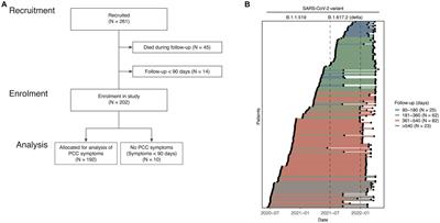 Longitudinal clinical phenotyping of post COVID condition in Mexican adults recovering from severe COVID-19: a prospective cohort study